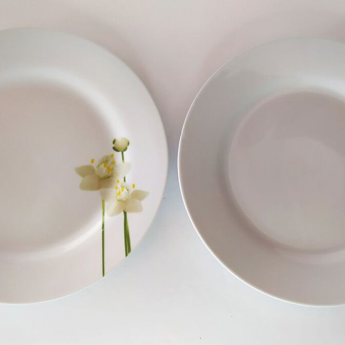 Shallow serving plates used, set of 2 with gift smaller shallow 19cm