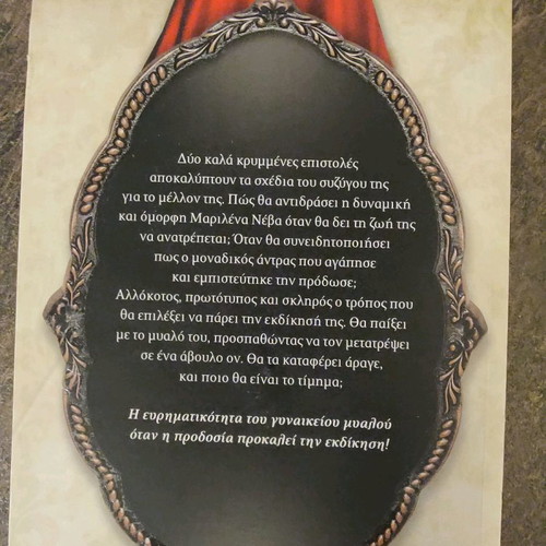 Behind the Mirror novel used