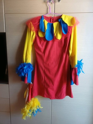 Carnival costume used for children 8-12 years old