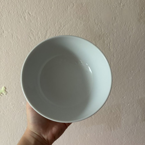 Rosenthal plates, new German brand