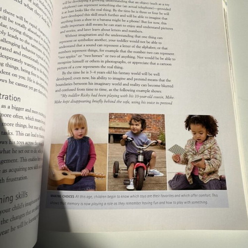 Your Toddler Month by Month book used, English