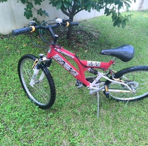 ποδήλατο mountain bike