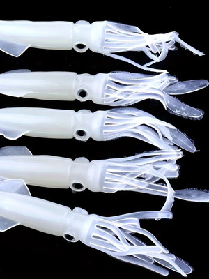 Set of 5 Artificial Squid Lures new for fishing