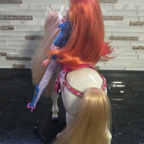Winx Doll with Pony used