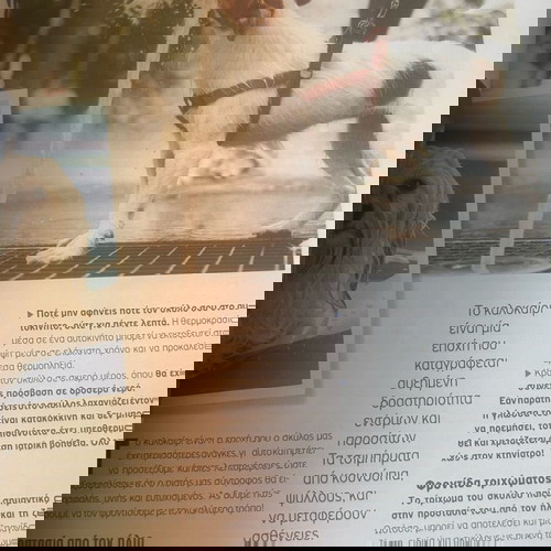 Περιοδικό animal-Ιούλιος /Αύγουστος 2025