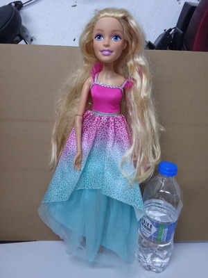 Barbie Dreamtopia Endless Hair Kingdom doll, 43 cm