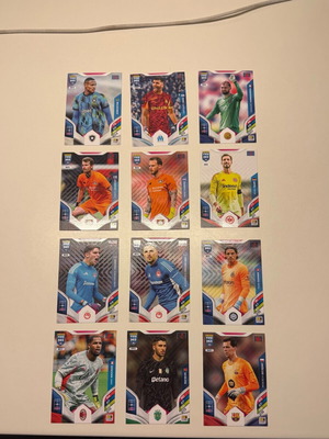 Goalkeepers Fifa 365 stickers new