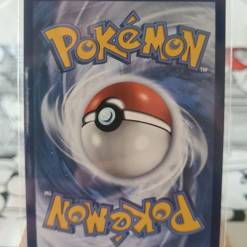 Boltund V Pokemon Fusion Strike Sword & Shield Full Art Rare Card new