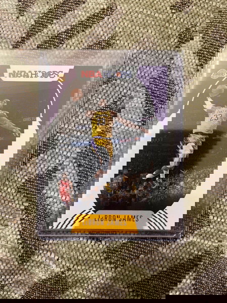 LeBron James NBA hoops lakers