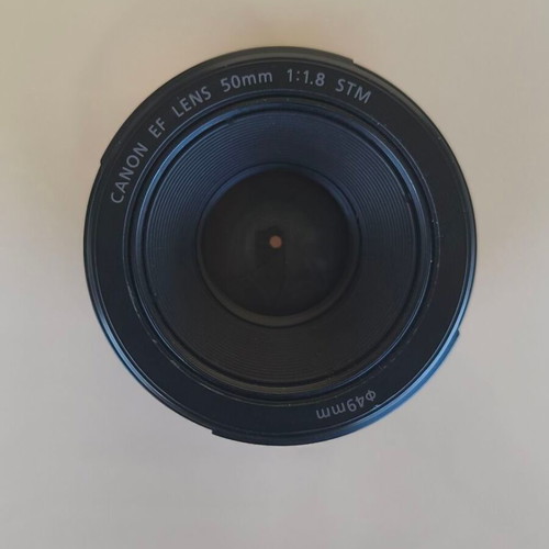 Canon EF 50mm f/1.8 STM lens with hood