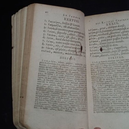 18th century book used, Greek roots, linguistics, etymology