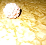 Bone ring new, pink