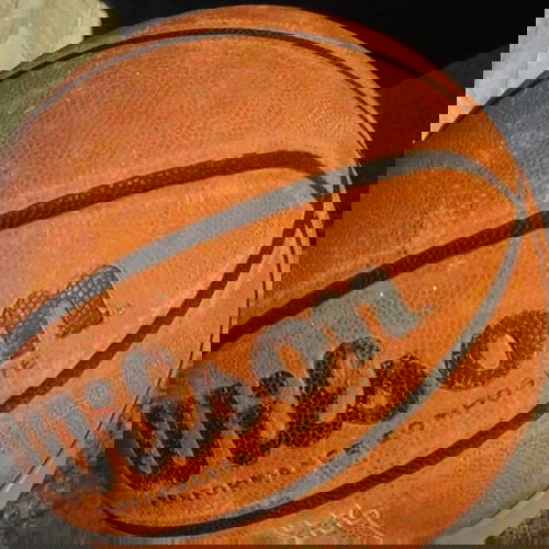 Μπάλα μπάσκετ Wilson Νο 7
