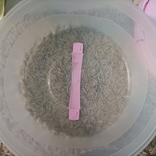 Cake and sweets container used