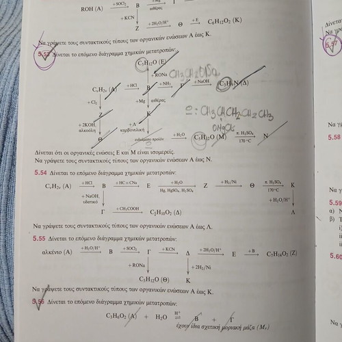 Organic Chemistry G Lyceum by Kostas Salteris like new