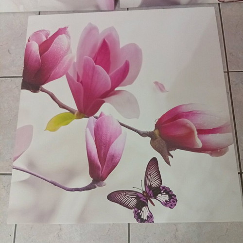 Pink Magnolia Canvas Photo Panel Set of 3