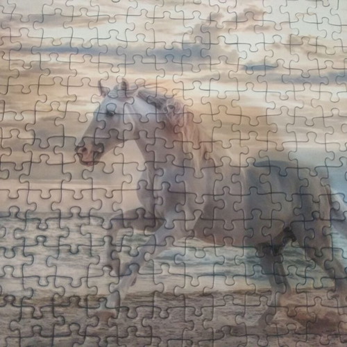Puzzle 500 pieces with horse theme, like new