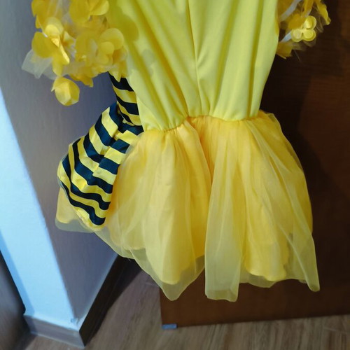 Carnival bee costume like new, size 3-4 years