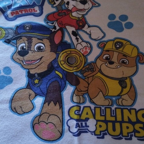 Paw Patrol T-shirt new unworn, white multicolor, for ages 2-4