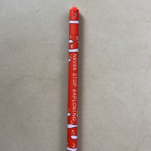 Erasable pen new no-name with designs
