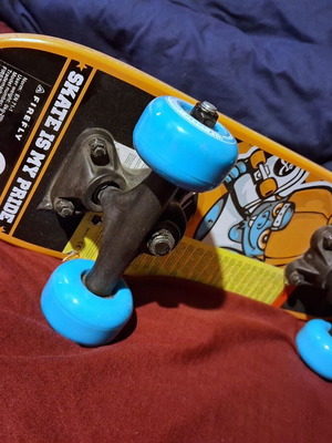 Skateboard 47εκ καινούργιο
