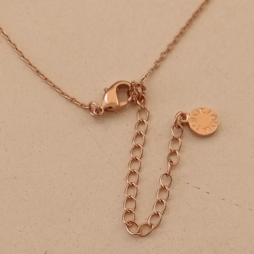 Loisir Aries zodiac necklace, rose gold steel, new