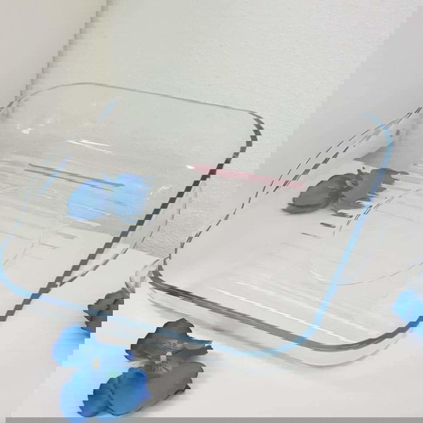 Δοχείο Premia Glass 3,2λ.