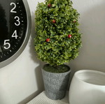 Two decorative trees like new, height 40 centimeters