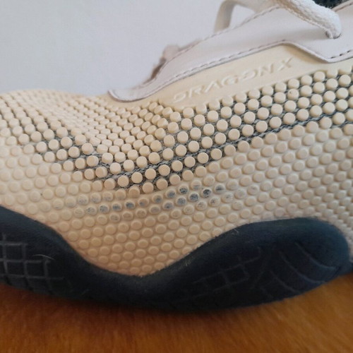 Nike Air Max Courtballistec shoes used, size 44, white