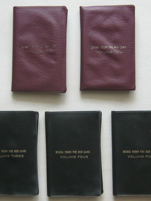 Rising From The Red Sand cassette tapes used industrial collection