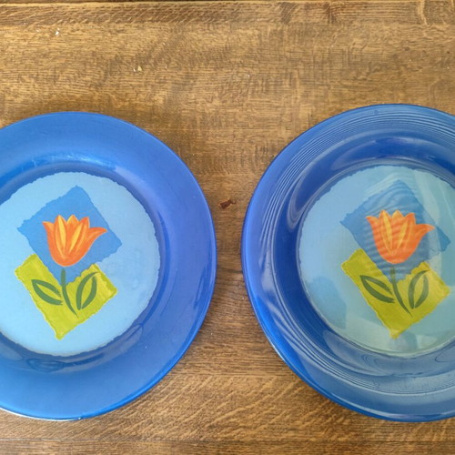 Set of 4 vintage Arcopal France plates Tulips design like new