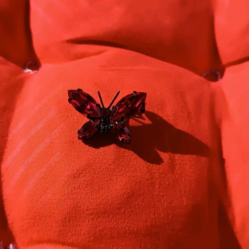 Silver Snowflake Pin and Red Butterfly Pin new