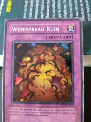 Yu-Gi-Oh Widespread Ruin DOD card used