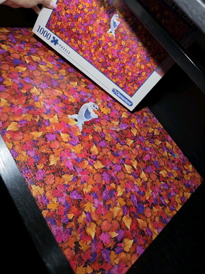 Frozen II Disney puzzle 1000 pieces used