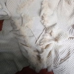 Cardigan used beige, size L