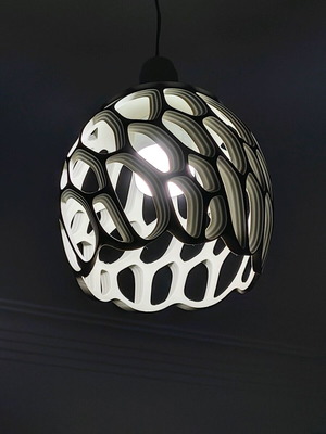 Modern Organic Design ceiling light new, white
