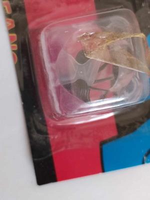 Fly in icecube prank new