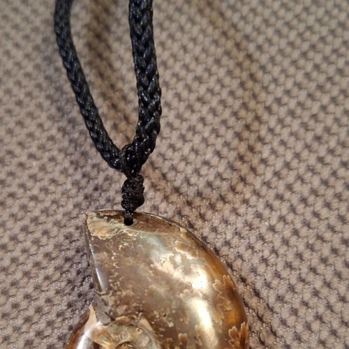 Ammonite pendant necklace, polished, adjustable string
