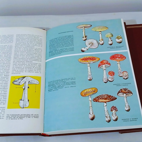 Medical Encyclopedia Complete Set of 3 Volumes, New