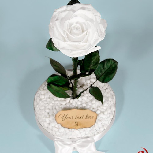 White Eternal Rose in Large Glass Dome made to order