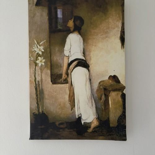 Wall painting on canvas with wooden frame like new, brown tones