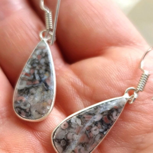 Fossil Crinoid Earrings silver plated 925 new