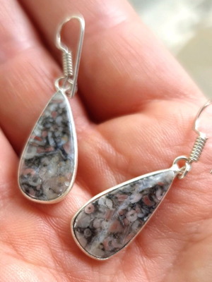 Fossil Crinoid Earrings silver plated 925 new