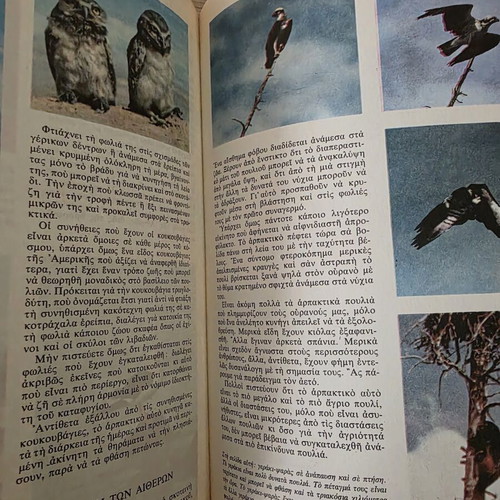 Walt Disney The Secret Life of Animals illustrated book