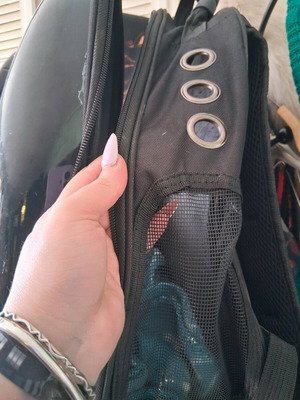 Cat bag used with dome