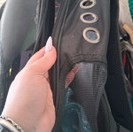Cat bag used with dome