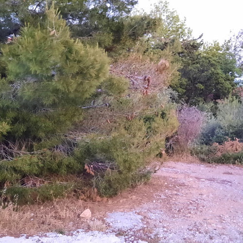 Land 1,500 m² in Drafi, corner plot, within city plan
