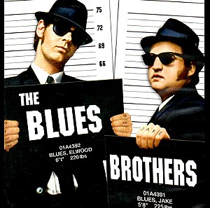 " THE BLUES BROTHERS "