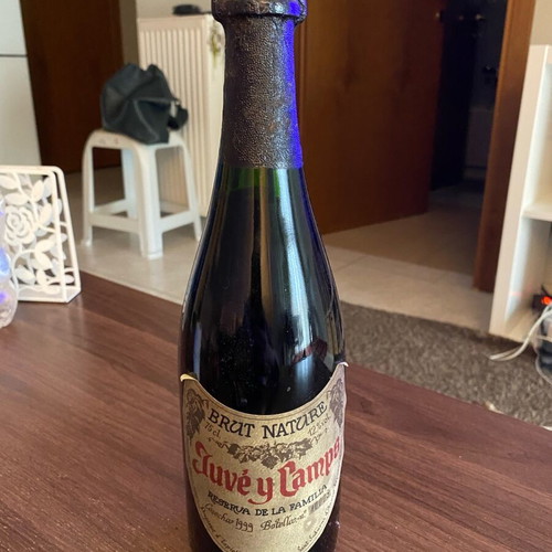 Juve y Camps Brut Nature Cava 1999 vintage, new