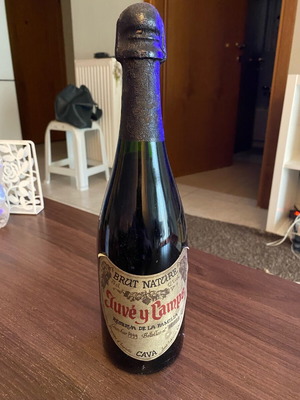 Juve y Camps Brut Nature Cava 1999 vintage, new